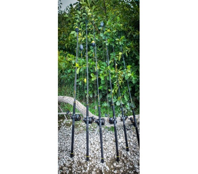 16490_16491_16492_16493_C1