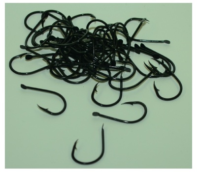 nm_horog_cb3_0_parent_argus_chinu_horog