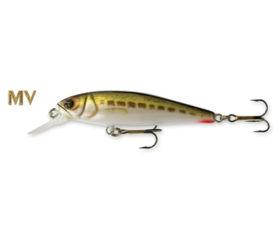 op_goldy_goldfish_mv