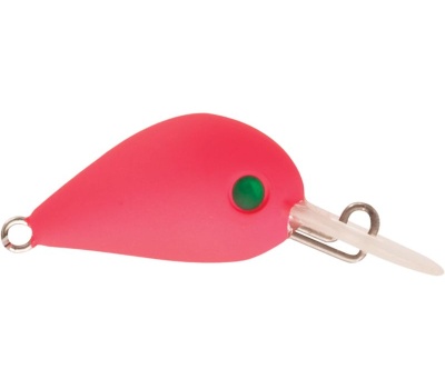 rapture_180-06-958_hot_buzz_area