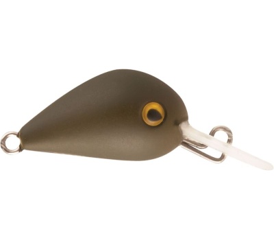 rapture_180-06-960_hot_buzz_area