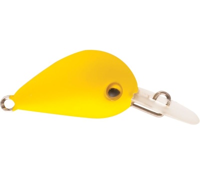 rapture_180-06-961_hot_buzz_area