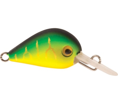 rapture_180-06-962_hot_buzz_area