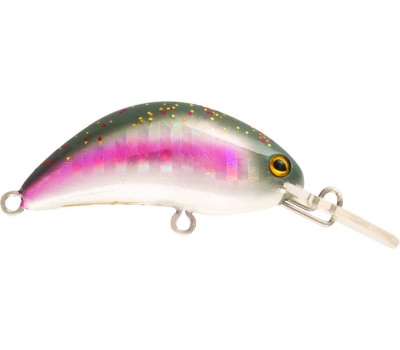 rapture_180-07-001_hot_bean_area