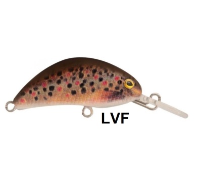 rapture_180-07-004_hot_bean_area_s_lvf