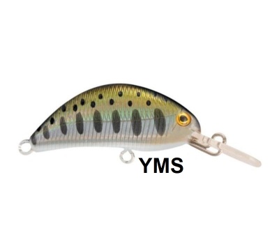 rapture_180-07-027_hot_bean_area_s_yms