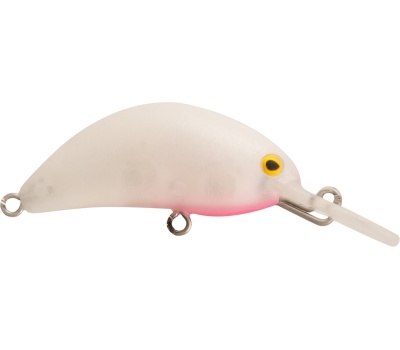 rapture_180-07-071_hot_bean_area_s_2018