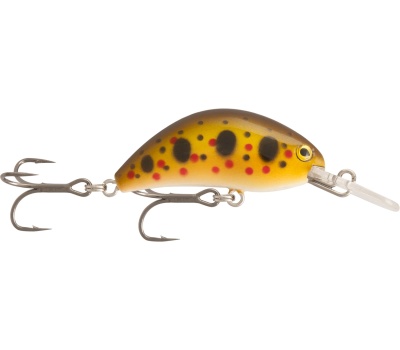 rapture_180-07-096_hot_bean_area_s_2018