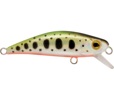 rapture_180-17-348_firework_ymr