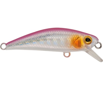 rapture_180-17-356_firework_pk