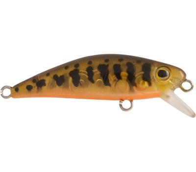 rapture_180-17-394_firework_s