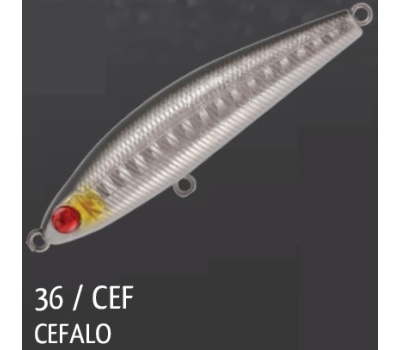 rapture_180-17-736_pro_windcode_cef