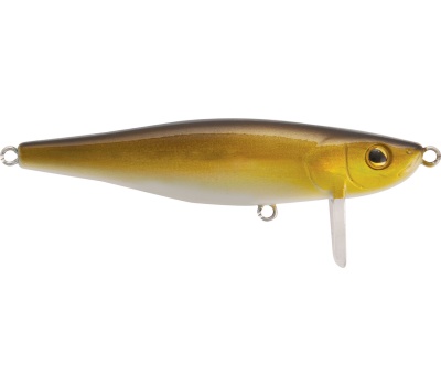 rapture_180-19-631_shiver_sws