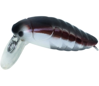 rapture_180-42-109_pro_beetle_area