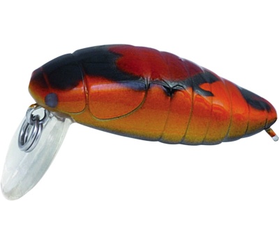 rapture_180-42-111_pro_beetle_area