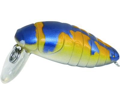 rapture_180-42-112_pro_beetle_area