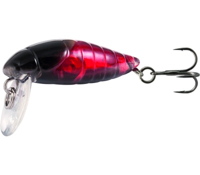 rapture_180-42-120_pro_beetle_area