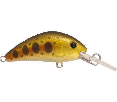 rapture_180-42-203_evoque