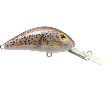 rapture_180-42-204_evoque