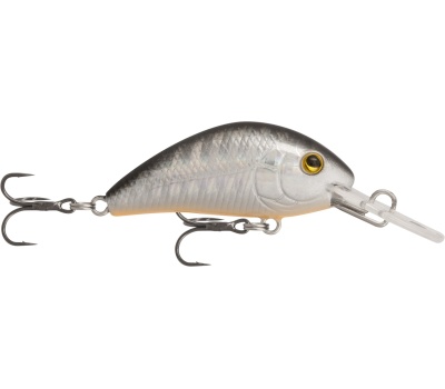 rapture_180-42-218_evoque