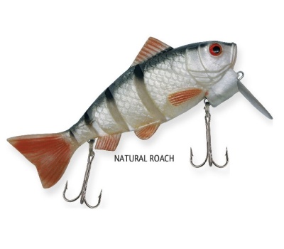 rapture_187-03-122_dancer_perch_roach