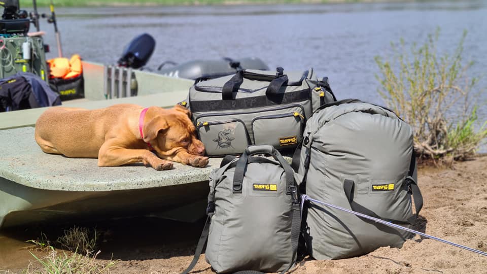 280671886 1170636993732540 1296016334124857750 n