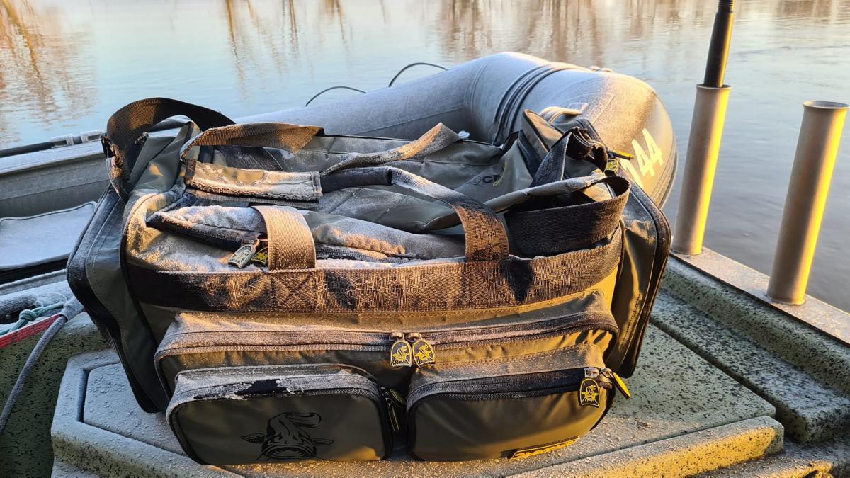 282024861 1170637370399169 1295414761871022492 n