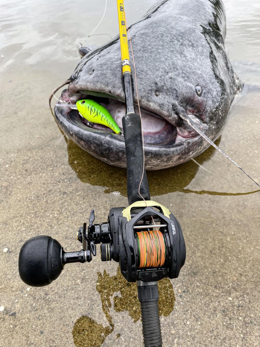 16430 16432 16433 c1 1200