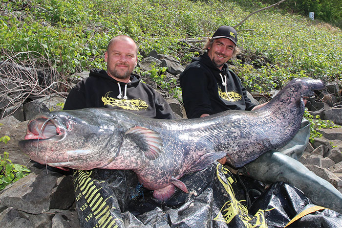 black cat fishing stefan seuss IMG 9936