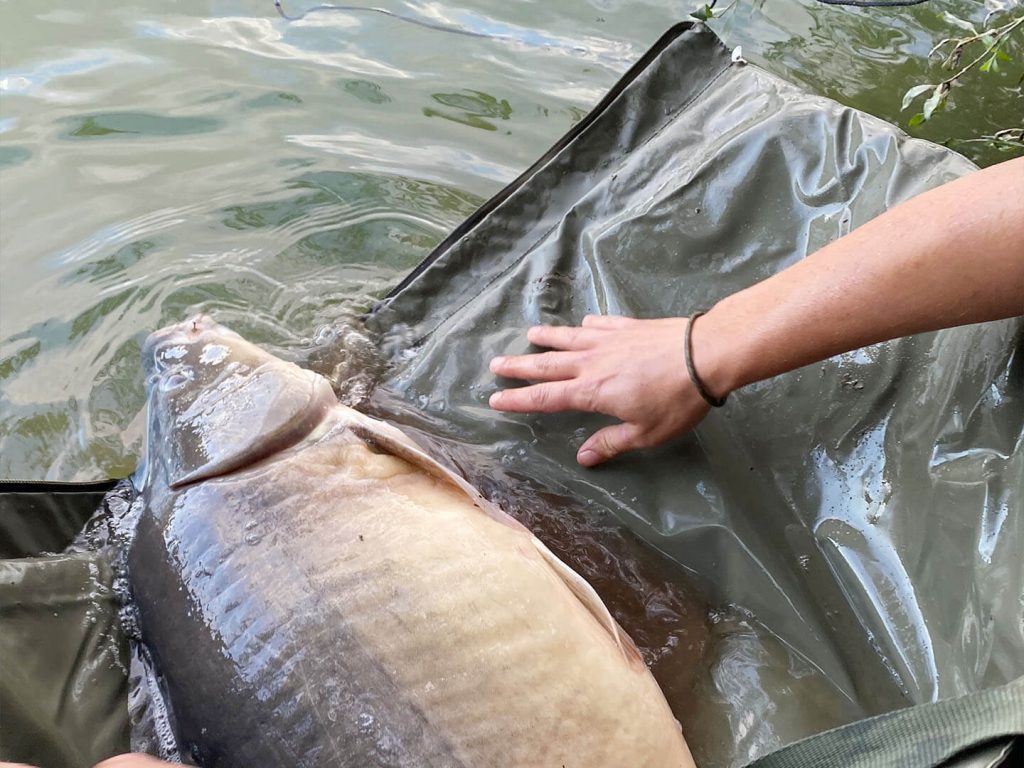 Origami Mat 01 1024x768