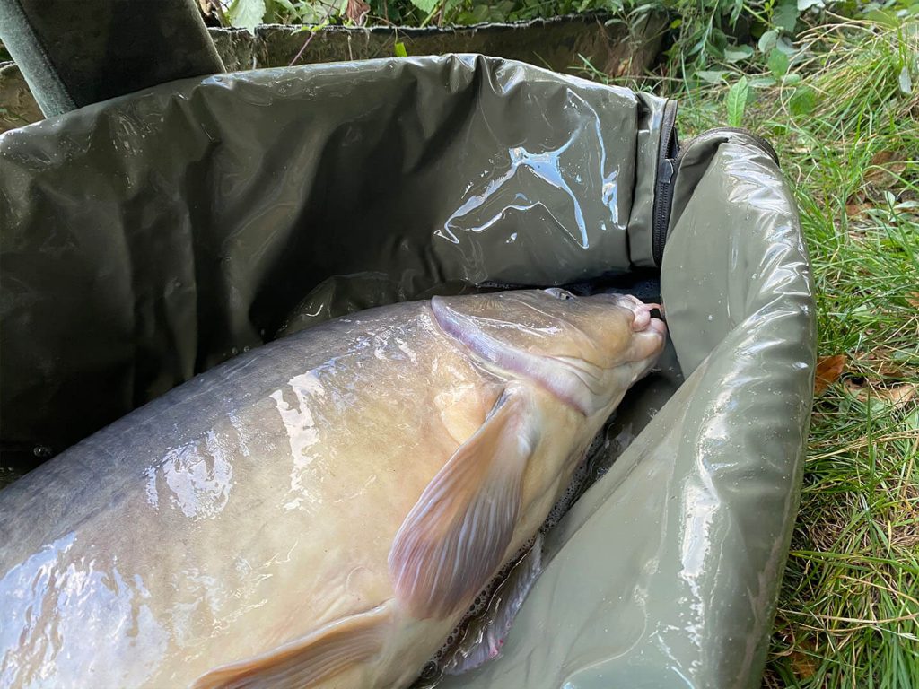 Origami Mat 02 1024x768