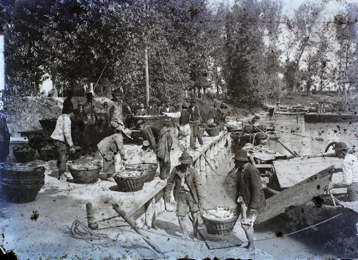 Fortepan  Magyar Földrajzi Múzeum  Erdélyi Mór cége