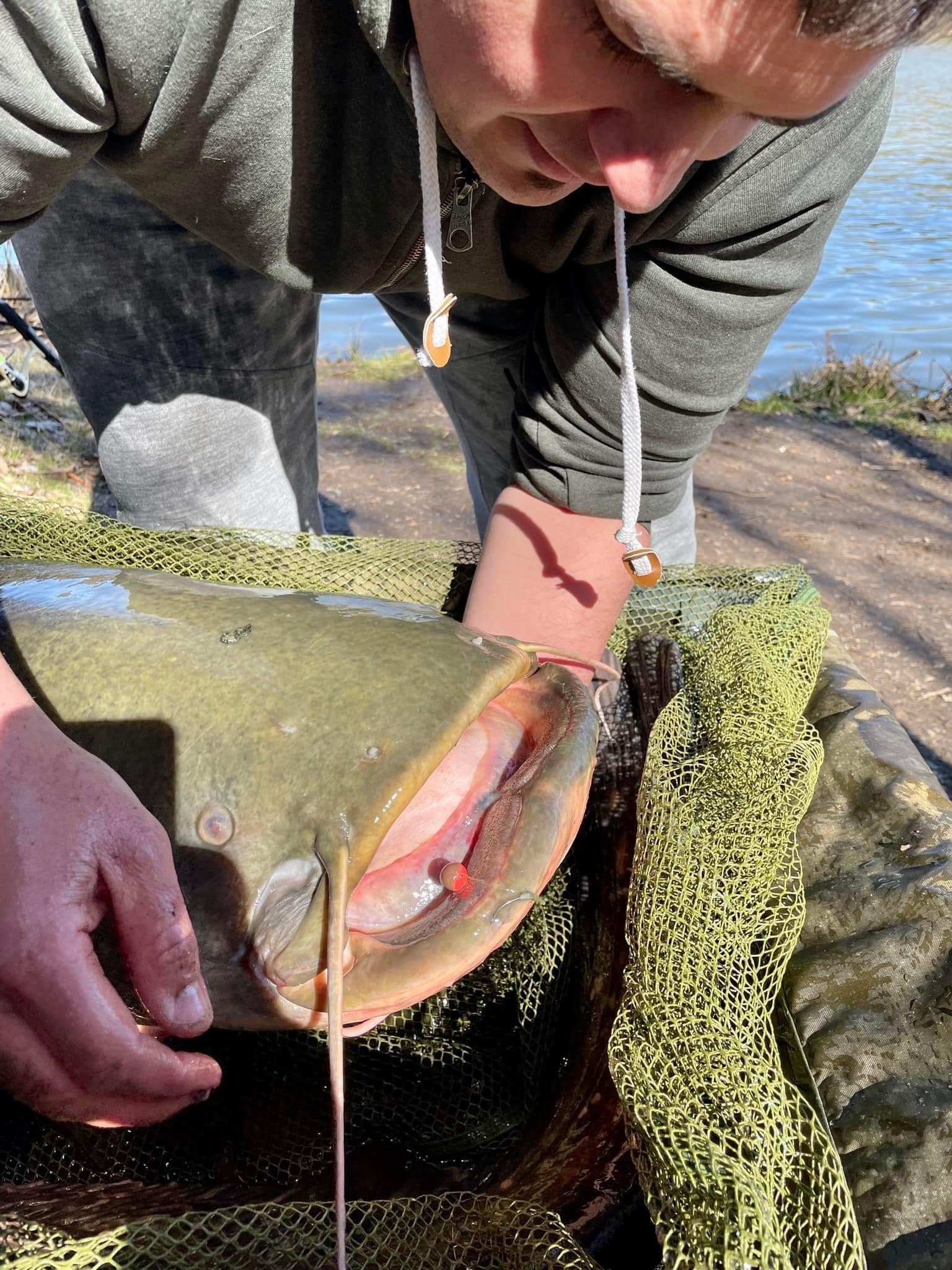 Imre Lajos harcsafogás2